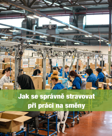 Ebook Práca na smeny